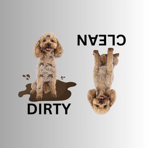TOY POODLE Clean Dirty Dishwasher Flexible Magnet